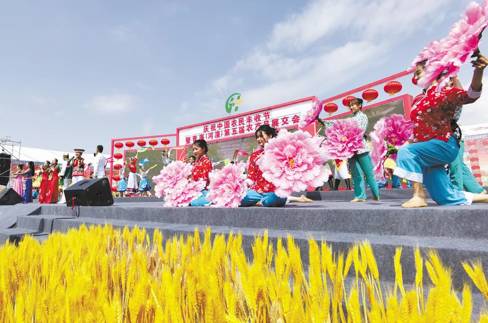 丰城富硒大米品种（丰城富硒大米价格）-硒宝网