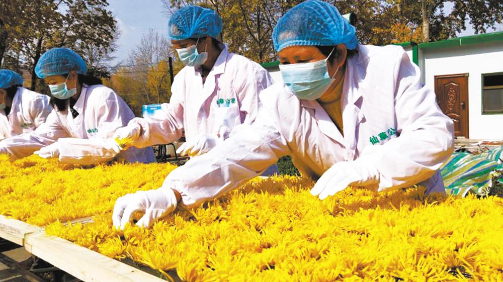 丰城富硒大米品种（丰城富硒大米价格）-硒宝网