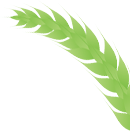 方正富硒大米真假（方正大米含硒）-硒宝网