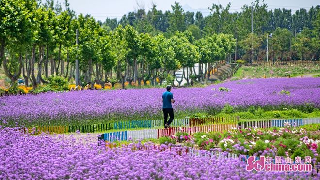 从化富硒山谷大米（高山富硒大米多少钱一斤）-硒宝网