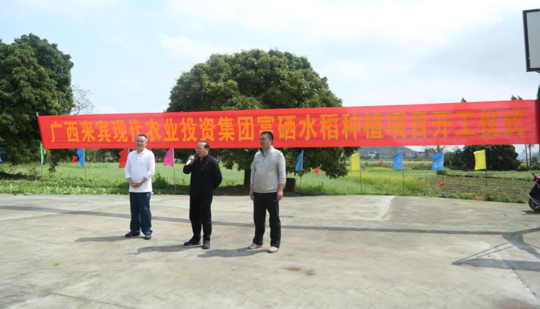 石台富硒大米项目(石台富硒大米多少钱一斤)-硒宝网