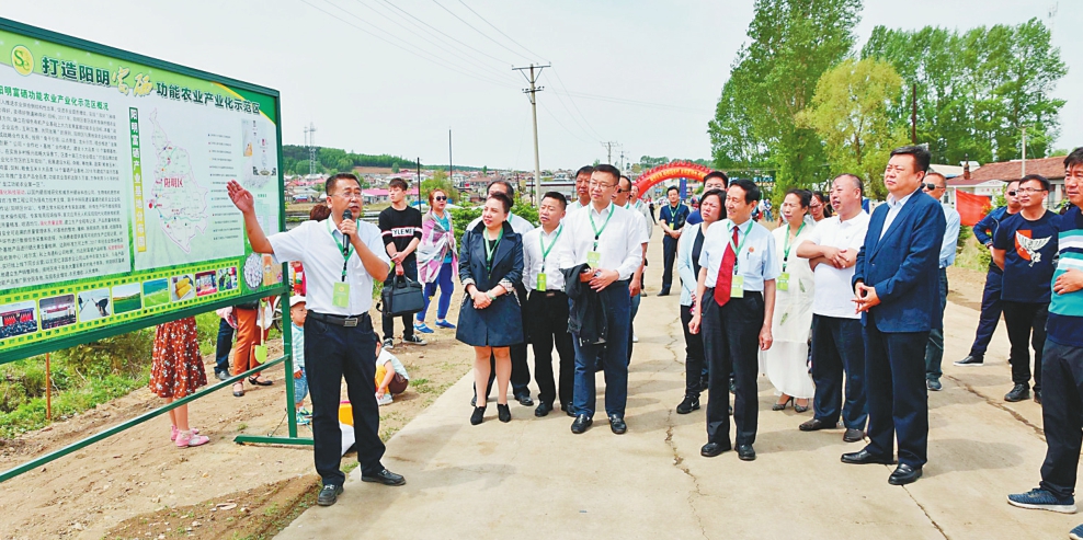 宁夏富硒大米咋样(富硒大米好在哪)-硒宝网