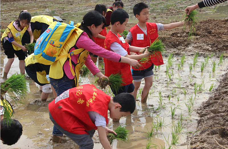 江西于都富硒大米（江西富硒大米基地）-硒宝网