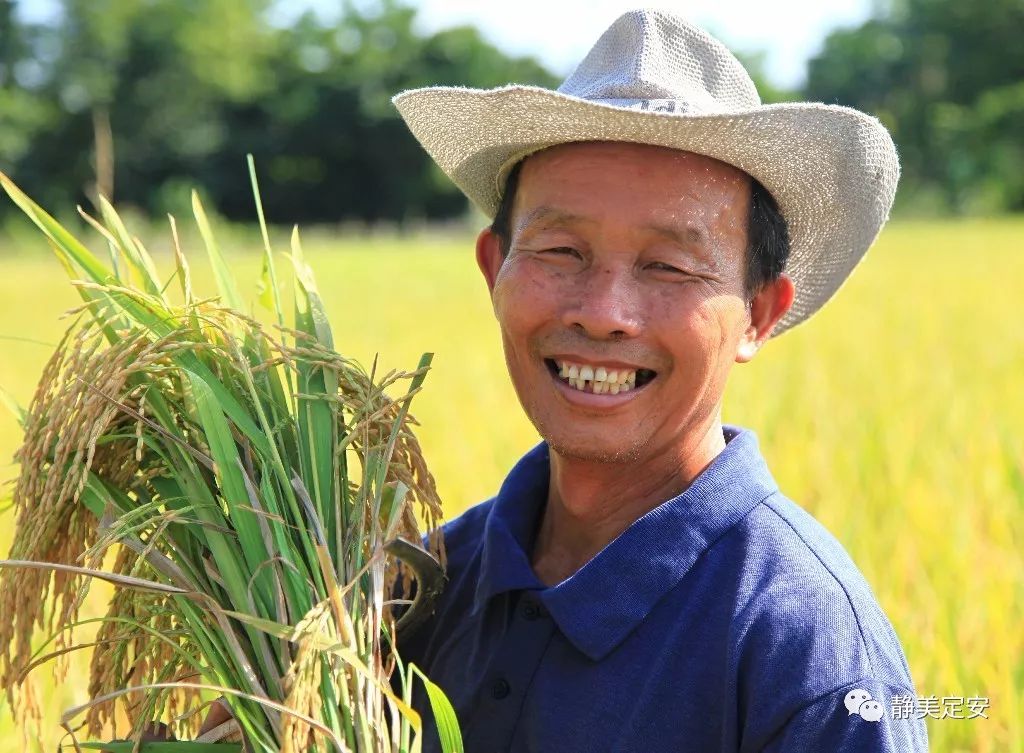 海南定安富硒大米（赣南富硒大米）-硒宝网