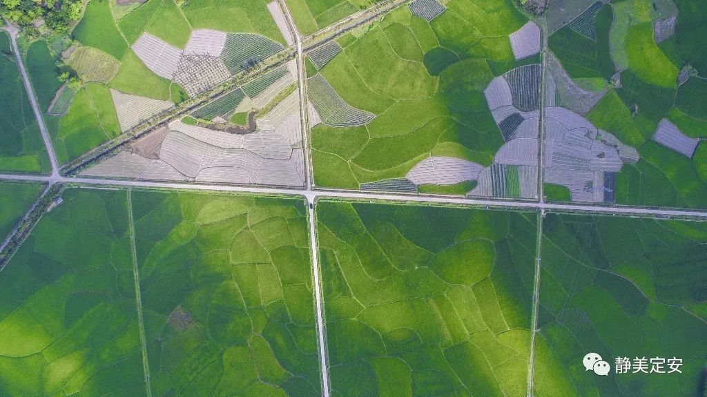 海南定安富硒大米（赣南富硒大米）-硒宝网