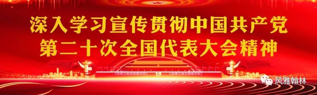 海南定安富硒大米(富硒大米市场前景)-硒宝网
