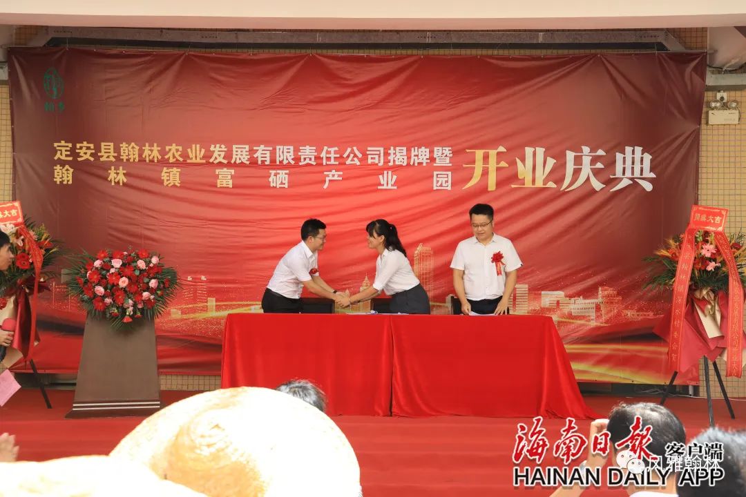 海南定安富硒大米(富硒大米市场前景)-硒宝网