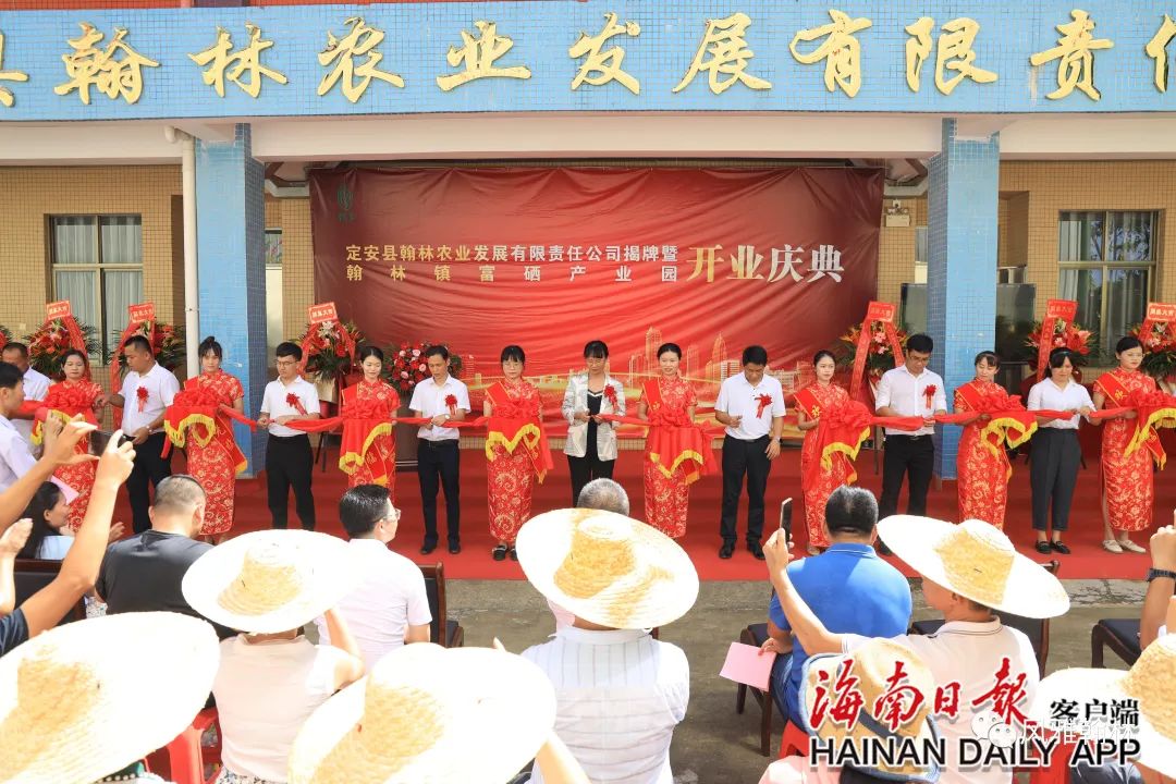 海南定安富硒大米(富硒大米市场前景)-硒宝网