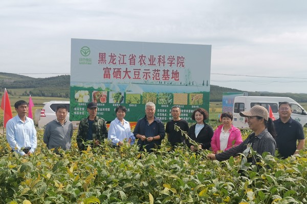 富硒大米产业规模（中国天然富硒大米产地）-硒宝网