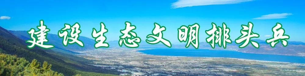 富硒大米简介资料（富硒大米介绍词）-硒宝网