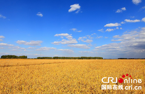 方正富硒大米推荐（方正富硒大米的执行标准）-硒宝网