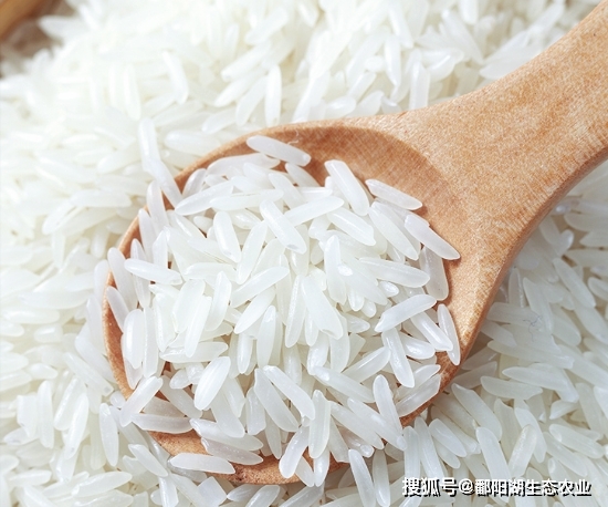 江西富硒大米直播（江西富硒大米多少钱一斤）-硒宝网