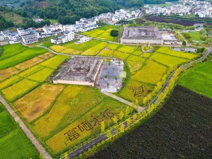 江西富硒大米直播(江西富硒大米基地)-硒宝网