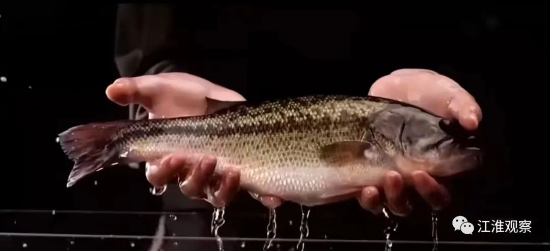 安庆有机富硒大米(安微富硒大米)-硒宝网