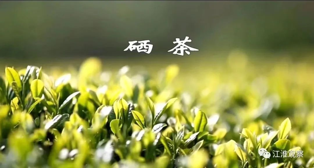 安庆有机富硒大米(安微富硒大米)-硒宝网