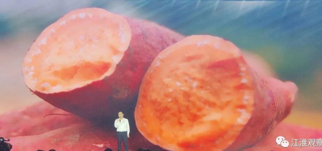 安庆有机富硒大米(安微富硒大米)-硒宝网