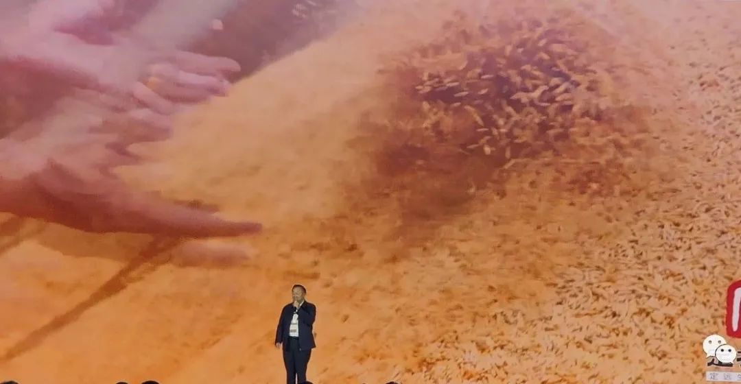 安庆有机富硒大米(安微富硒大米)-硒宝网