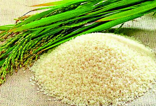 富硒大米怎么减肥(富硒大米降血糖吗)-硒宝网