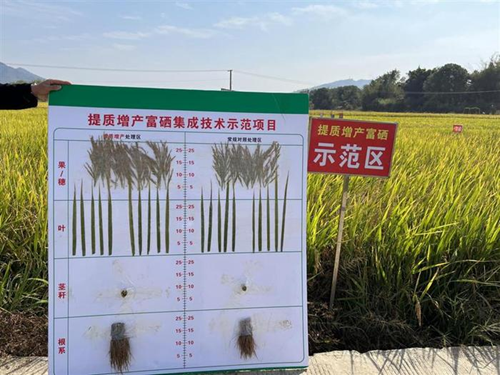 央视于都富硒大米(江西富硒大米)-硒宝网