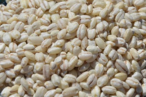 富硒大米会长胖?(吃富硒大米有哪些不良反应)-硒宝网