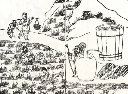 富硒大米红色包装(富硒大米包装简介)-硒宝网