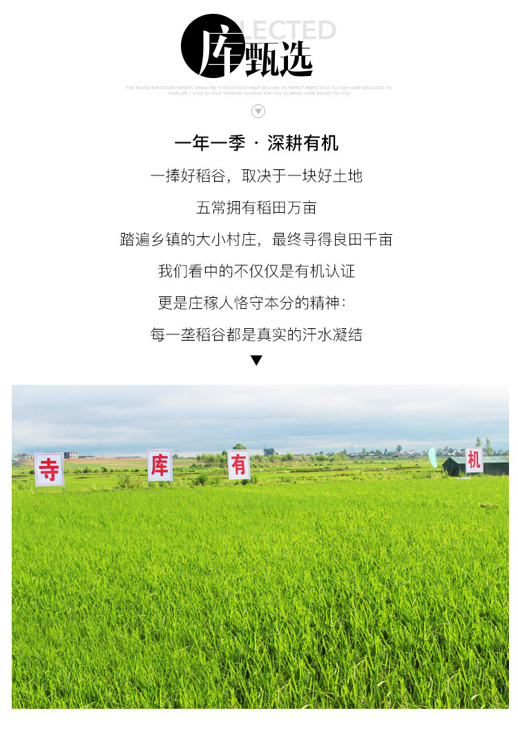 东北富硒大米销售(东北富硒大米产地)-硒宝网