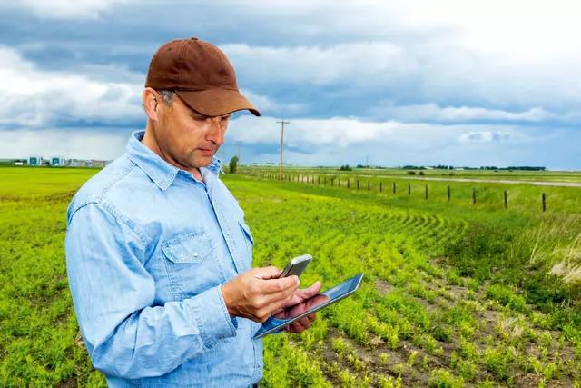 富硒大米种植方案(富硒大米种植技术)-硒宝网