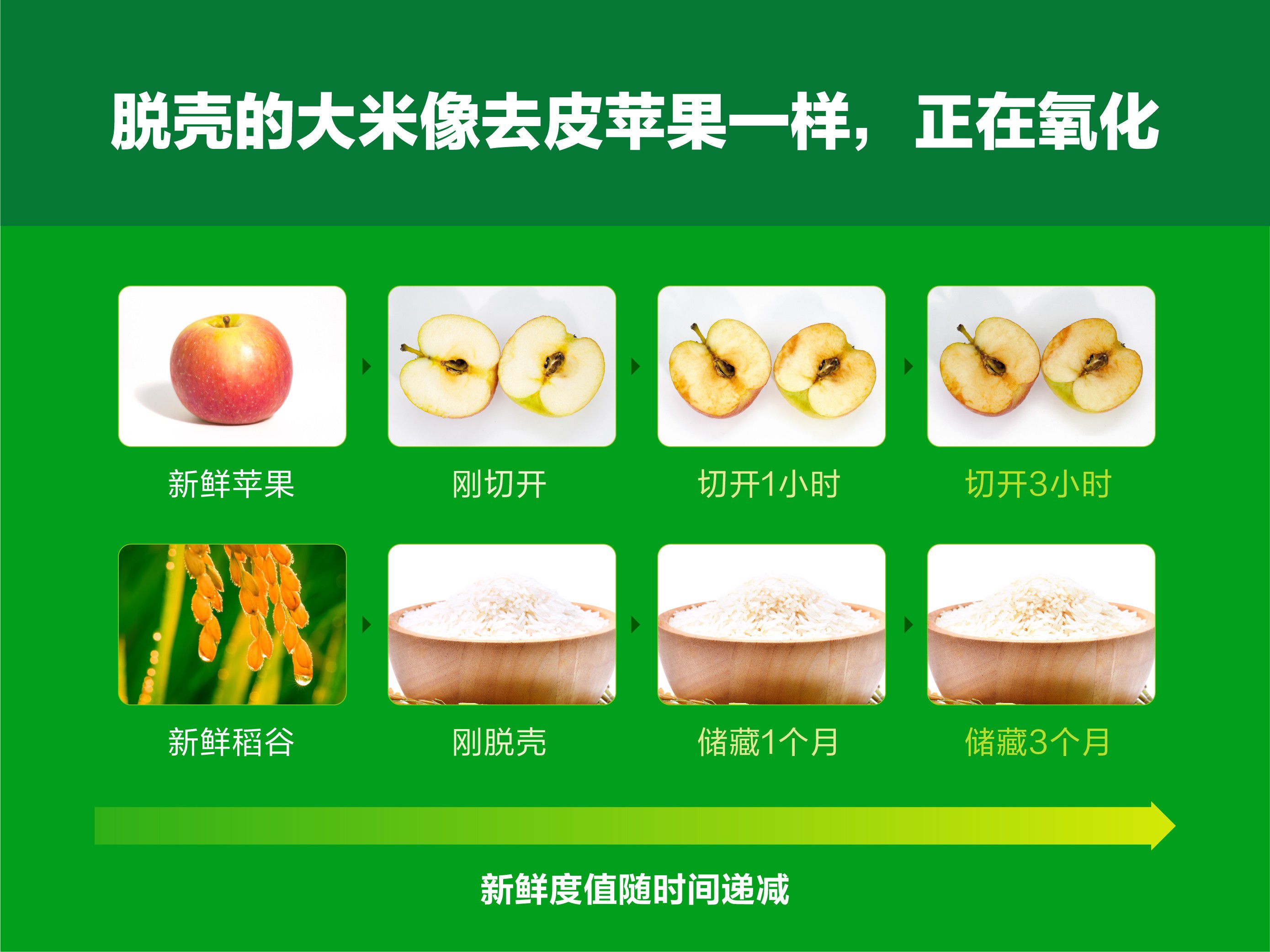 富硒大米如何销售(富硒大米市场前景)-硒宝网