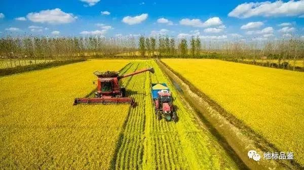 怎样种植富硒大米(大米种植富硒的好处)-硒宝网