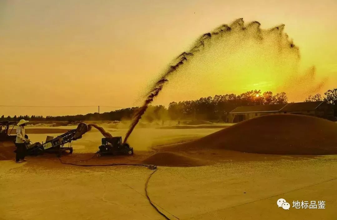 怎样种植富硒大米(大米种植富硒的好处)-硒宝网