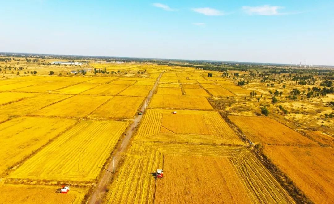 福寿钟祥富硒大米(富硒大米多少钱一盒)-硒宝网