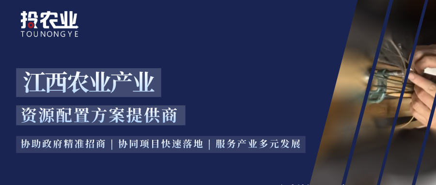 江西富硒大米央视（江西富硒大米基地）-硒宝网