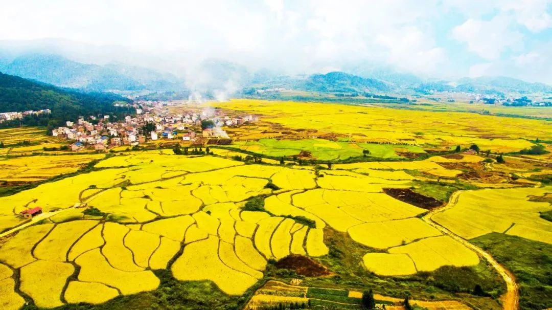 江西富硒大米央视（江西富硒大米基地）-硒宝网