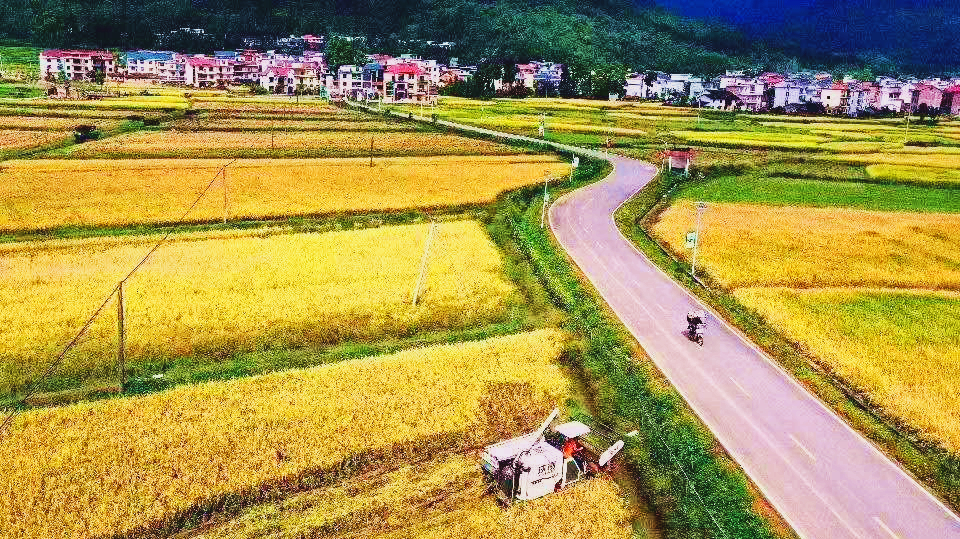 江西富硒大米央视（江西富硒大米基地）-硒宝网