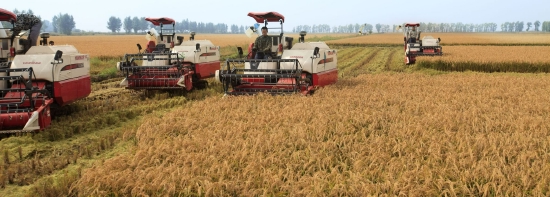 富锦黑土富硒大米（富硒大米多少钱一斤）-硒宝网