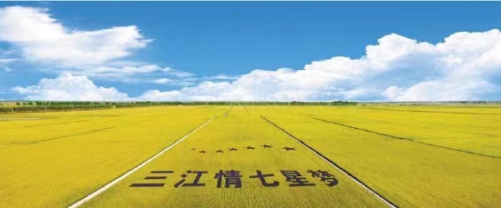 富锦黑土富硒大米（富硒大米多少钱一斤）-硒宝网