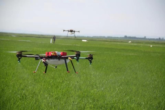 富锦黑土富硒大米（富硒大米多少钱一斤）-硒宝网