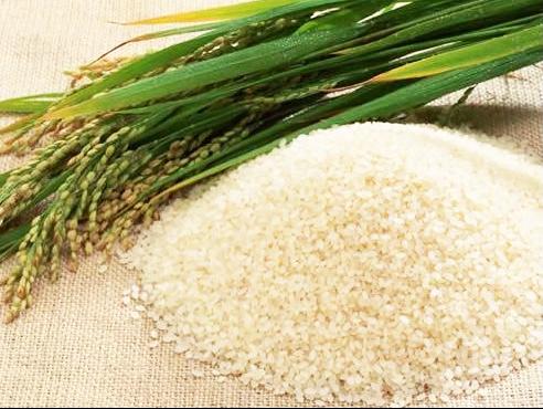 保定富硒大米产地（富硒大米哪个牌子好）-硒宝网