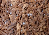 定安富硒大米产地(富硒大米市场分析)-硒宝网