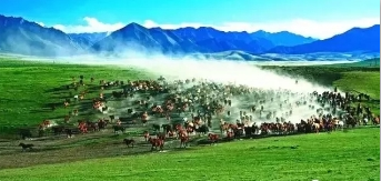 阜新有机富硒大米(富硒有机大米多少钱一斤)-硒宝网