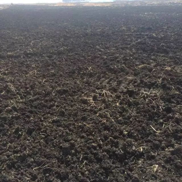 杭州有机富硒大米(富硒大米好还是有机大米好)-硒宝网