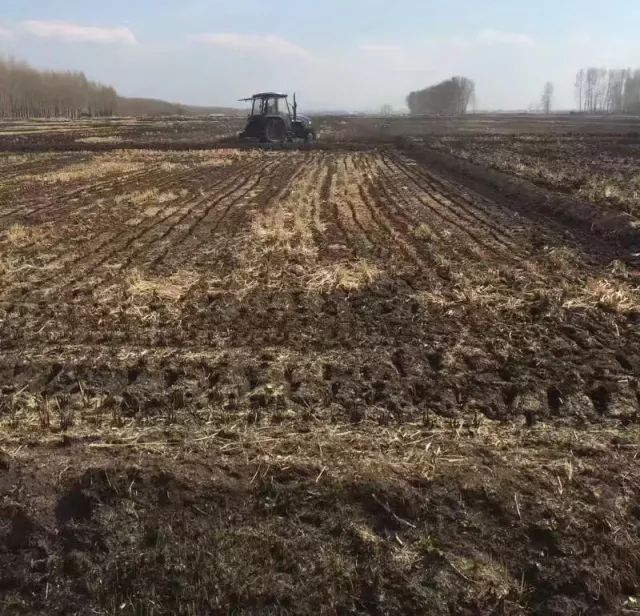 杭州有机富硒大米(富硒大米好还是有机大米好)-硒宝网