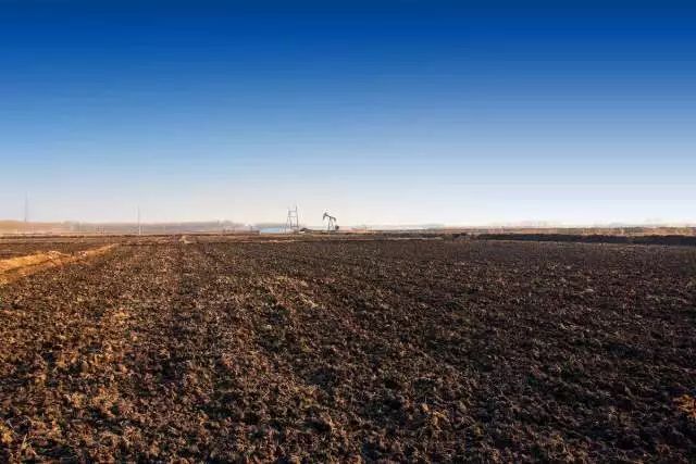 杭州有机富硒大米(富硒大米好还是有机大米好)-硒宝网