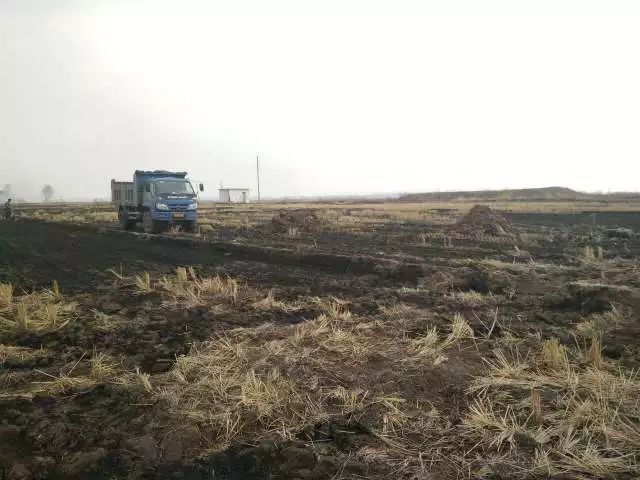 杭州有机富硒大米(富硒大米好还是有机大米好)-硒宝网