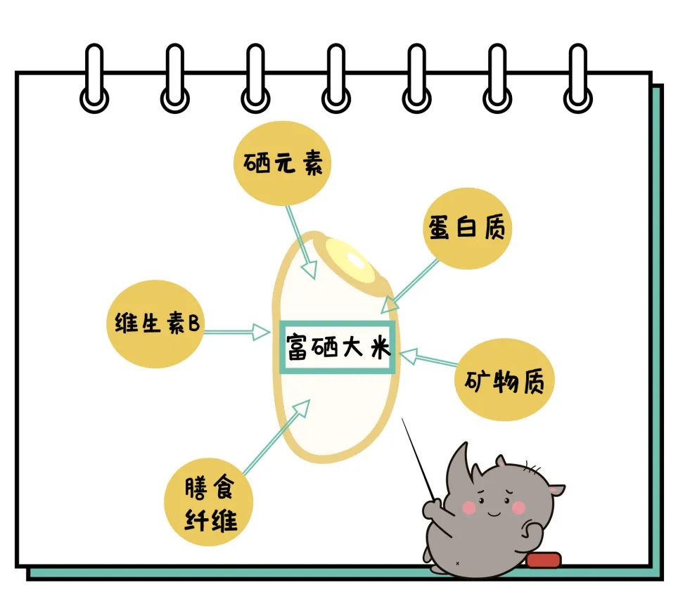 永州富硒大米好吃(富硒大米口感)-硒宝网
