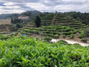广东龙川富硒大米(富硒大米原产地在哪里)-硒宝网