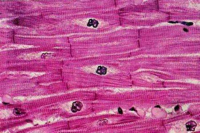 富硒大米地方标准（富硒大米的执行标准）-硒宝网