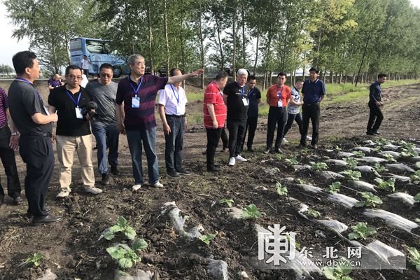 海伦富硒大米简介(海伦富硒大米好不好)-硒宝网