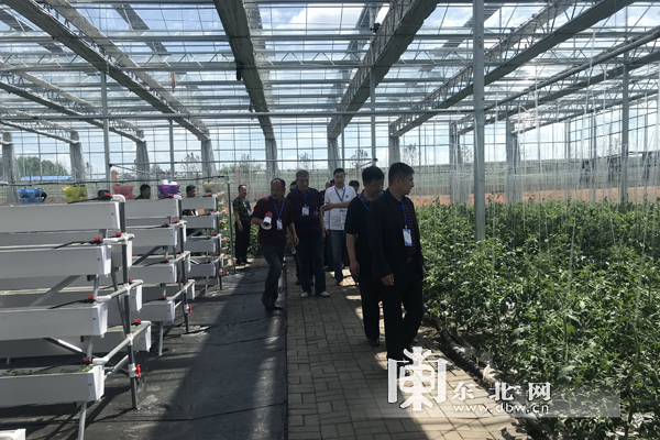 海伦富硒大米简介(海伦富硒大米好不好)-硒宝网