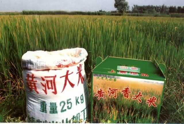 富硒大米地方标准(大米的富硒标准)-硒宝网